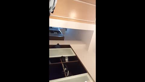 Snapshot of kingnavo chatting on November 7, 5:35 pm kingnavo online show from November 7, 5:35 pm