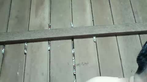 Ruru online show from January 16, 4:00 pm