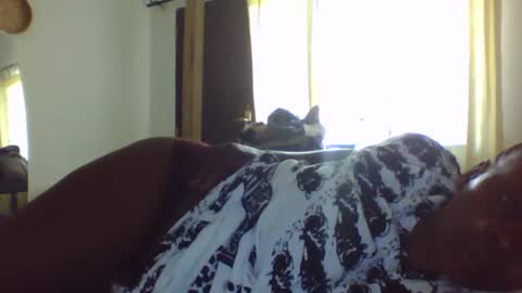 kaiya online show from November 29, 7:00 am