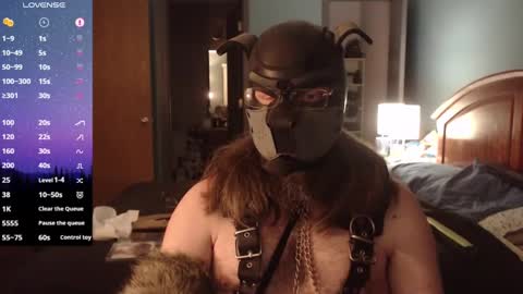 kinkywolf87 online show from January 15, 1:02 am