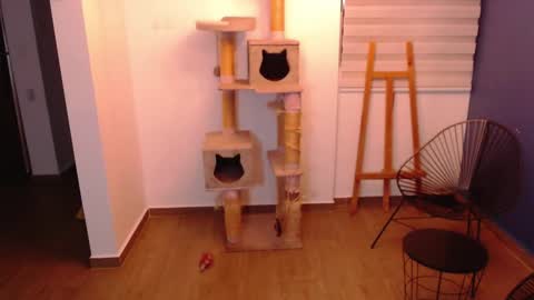 kintsugi online show from November 7, 4:01 am