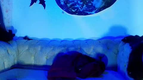 Snapshot of kira_mackenzie chatting on October 23, 11:53 am kira online show from October 23, 11:53 am