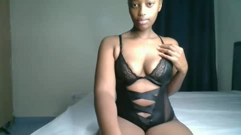 Kittypettite online show from April 21, 7:47 am