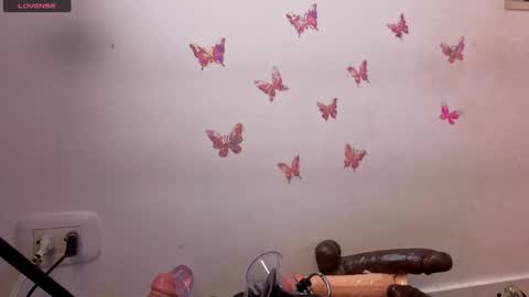 Kitty online show from January 17, 12:59 am