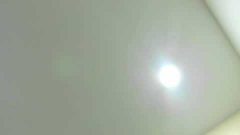 Kiwi online show from February 6, 12:08 pm