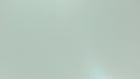 Kiwi online show from February 10, 11:58 am