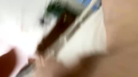 klimt2525 online show from January 12, 2:11 pm