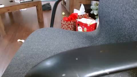 klok6187 online show from December 23, 4:01 am