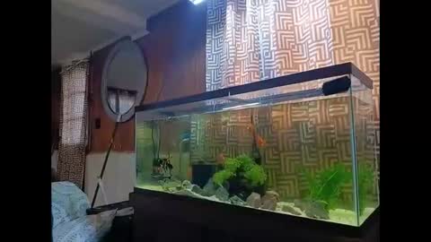 Snapshot of klou502 chatting on December 30, 2:40 pm LOUiViLAN online show from December 30, 2:40 pm