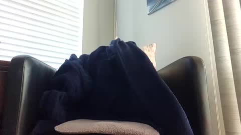 Snapshot of knightrider4324 chatting on December 21, 7:06 pm knightrider4324 online show from December 21, 7:06 pm