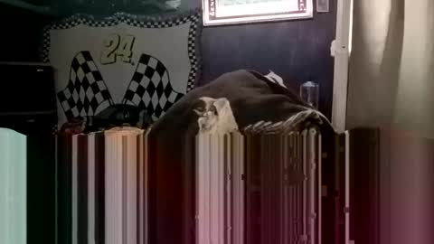 Snapshot of knock2wice1975 chatting on January 20, 4:32 am knock2wice1975 online show from January 20, 4:32 am