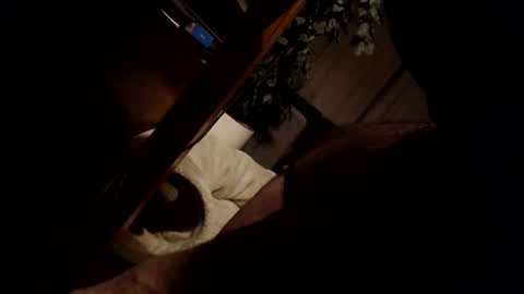 Snapshot of koekerdt chatting on January 31, 11:35 pm koekerdt online show from January 31, 11:35 pm