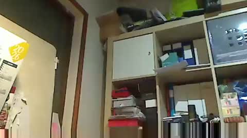 Snapshot of kokin3034 chatting on February 2, 6:01 am kokin3034 online show from February 2, 6:01 am