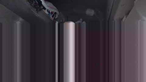 Bogdan online show from February 26, 1:41 pm