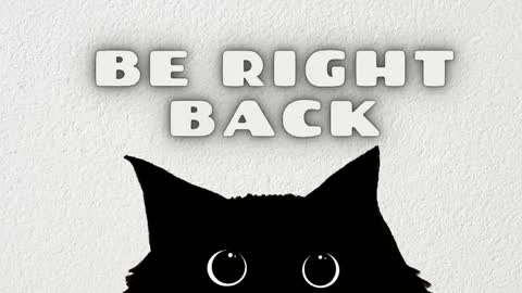   online show from May 3, 2:50 am