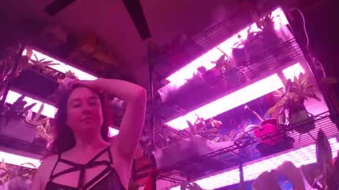 krookedorchid online show from October 19, 11:44 am