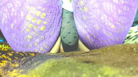 kryxtal online show from March 19, 8:24 pm