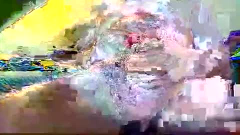 kumtimer online show from June 8, 2:45 am