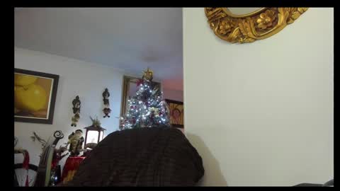 Snapshot of kyhara chatting on December 23, 1:51 am kyhara online show from December 23, 1:51 am