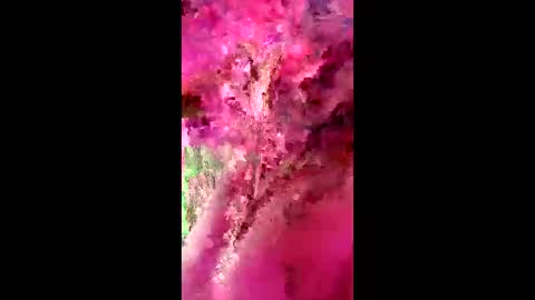 Snapshot of kyle40kal40 chatting on March 28, 10:48 am kyle40kal40 online show from March 28, 10:48 am