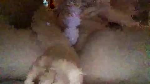 kylie online show from February 27, 3:06 am