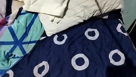 l0c0fundias online show from September 13, 7:08 am