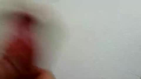 Snapshot of l0cean chatting on February 26, 3:16 am l0cean online show from February 26, 3:16 am