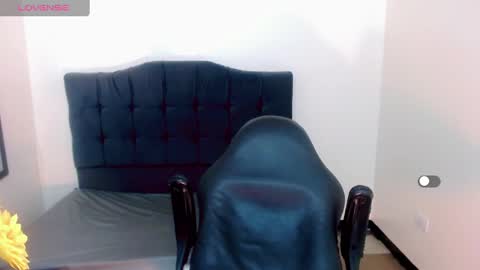 AriSaray online show from December 28, 1:08 am