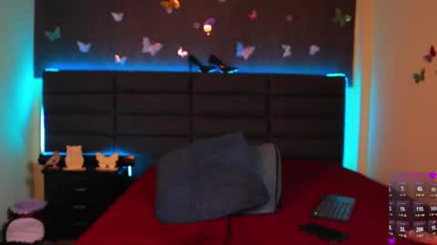 Snapshot of lady_boobs1 chatting on March 5, 12:27 am Kathie Dicky online show from March 5, 12:27 am