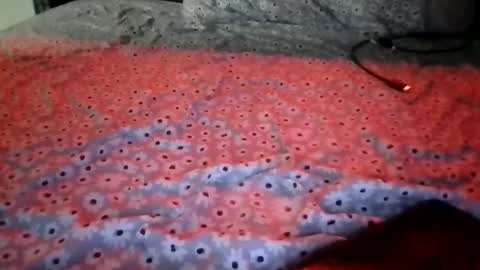 Stephanie online show from December 15, 1:54 am