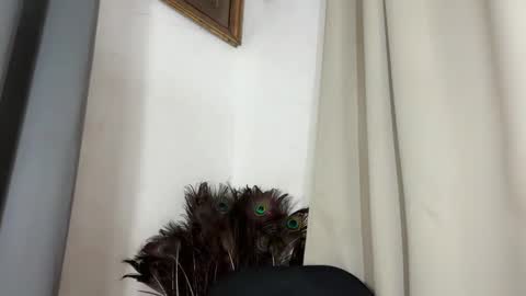 ladylollipop_marls online show from March 10, 10:31 am