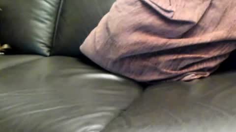 Snapshot of ladyloverwithcock chatting on March 8, 7:53 pm tomtom online show from March 8, 7:53 pm