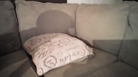 Snapshot of ladyrhedd chatting on October 5, 2:10 am Lady Redd online show from October 5, 2:10 am