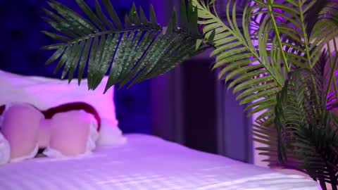 Lala online show from September 13, 7:13 pm