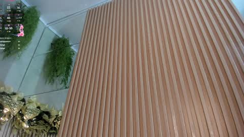 lana_lann online show from December 28, 3:37 pm