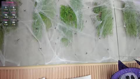 lana_lann online show from October 27, 11:47 am