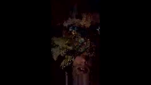 Snapshot of langederek2 chatting on May 18, 3:24 am langederek2 online show from May 18, 3:24 am