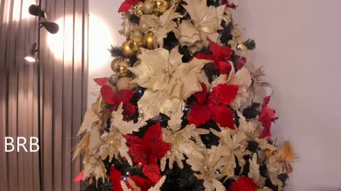 Snapshot of lanna_wilson chatting on December 19, 11:25 pm Tiana online show from December 19, 11:25 pm