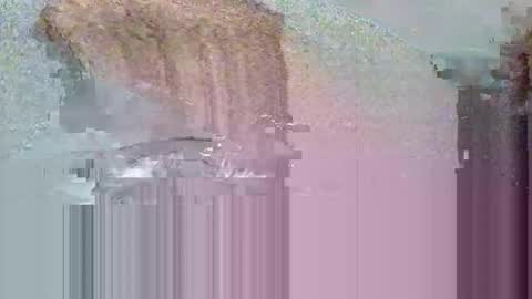 Snapshot of lary0078 chatting on November 17, 4:46 pm Lary78 online show from November 17, 4:46 pm