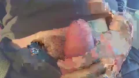 Snapshot of latil chatting on November 29, 8:39 am joseph online show from November 29, 8:39 am