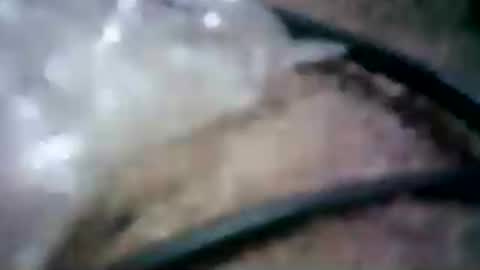 latinounder online show from July 24, 8:45 am