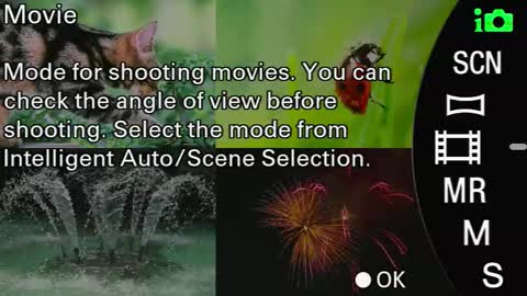 Snapshot of laureencadriel chatting on September 24, 8:39 am Monica online show from September 24, 8:39 am