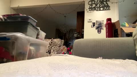 Snapshot of lawrencegreg106 chatting on September 25, 1:09 am lawrencegreg106 online show from September 25, 1:09 am