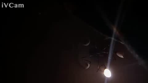 laydayy online show from January 12, 10:37 pm