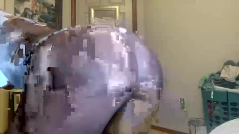 layla online show from September 21, 6:48 am