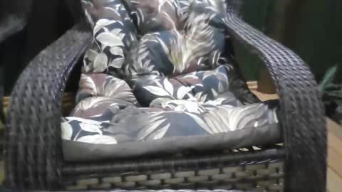 kelly online show from December 21, 1:13 am