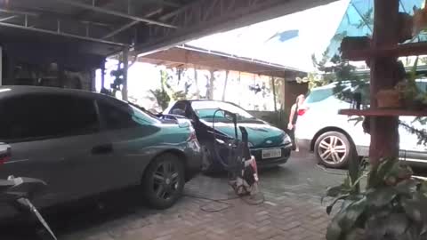 kelly online show from April 19, 5:56 pm