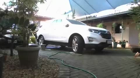 kelly online show from April 19, 6:43 pm