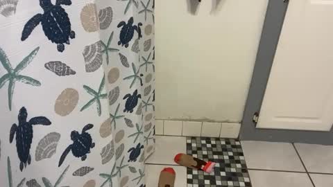 Snapshot of lazyladypug425146 chatting on December 15, 5:17 pm lazyladypug425146 online show from December 15, 5:17 pm