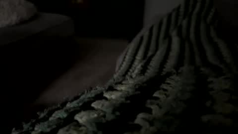 lc6173 online show from December 15, 8:13 pm